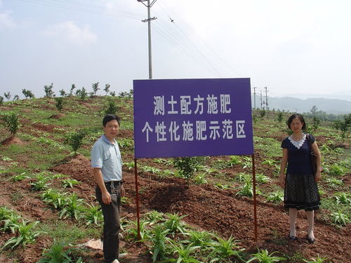 四川省農(nóng)業(yè)科學院遙感應用研究所與國家現(xiàn)代農(nóng)業(yè)產(chǎn)業(yè)技術體系四川創(chuàng)新團隊柑桔栽培技術崗位專家聯(lián)合簡報 農(nóng)業(yè)種植技術開發(fā)新進展